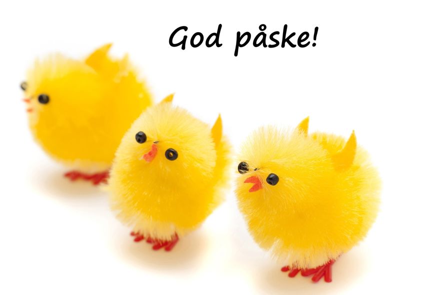 Foto: gulekyllinger gulekyllinger