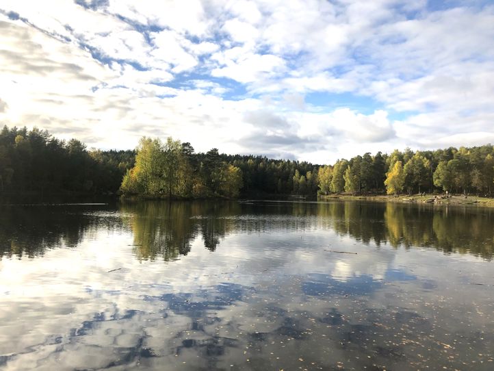 en vannmasse med trær rundt
